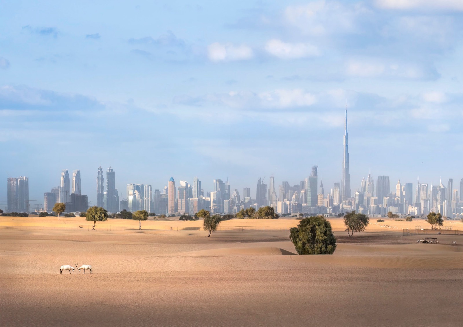 Dubai skyline with the Burj Khalifa rising behind open desert, two oryx in the sand in front, the city this guide to setting up a company from Pakistan is about
